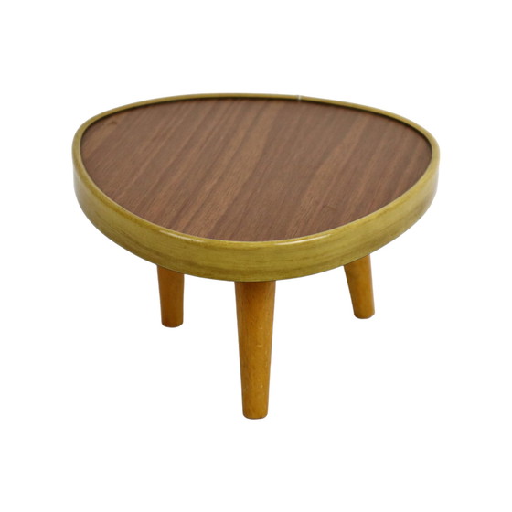 Image 1 of Miniature Plant Table Formica