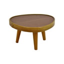 Miniature Plant Table Formica