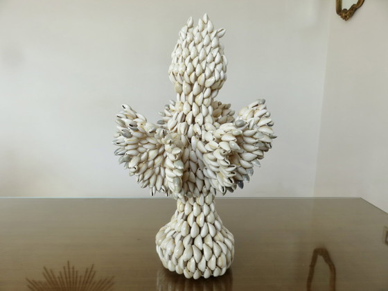 Image 1 of Vaso di conchiglie, Pacifico meridionale, Hawaii, Polinesia, 1970