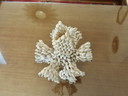 Vaso di conchiglie, Pacifico meridionale, Hawaii, Polinesia, 1970