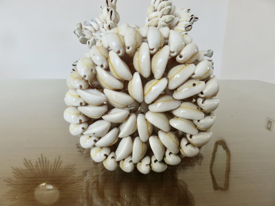 Image 1 of Vaso di conchiglie, Pacifico meridionale, Hawaii, Polinesia, 1970