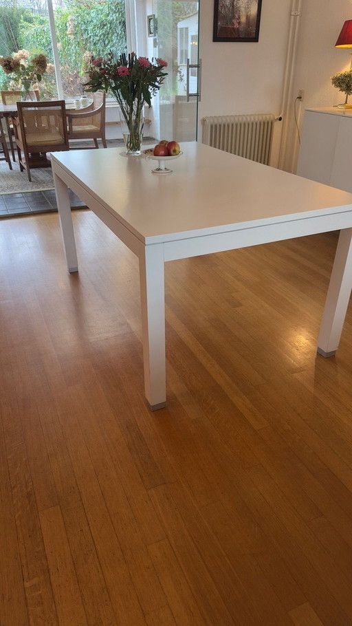 Pastoe Large Extendable Dining Table