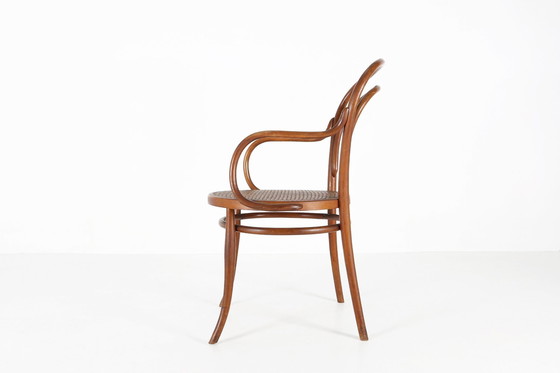 Image 1 of Vintage Armchair In Bentwood With Canework, 1950