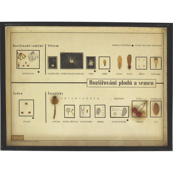Image 1 of Carta scolastica d'epoca "Diffondere i semi", Cecoslovacchia, anni '60