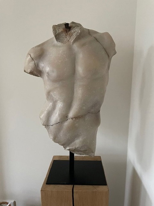 Large Maximillian Torso