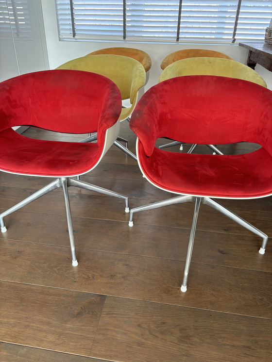 Image 1 of Refurbishment: 6x B&B italia chairs