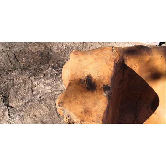 Image 1 of Set da soggiorno brutalista in legno di olmo, 1950