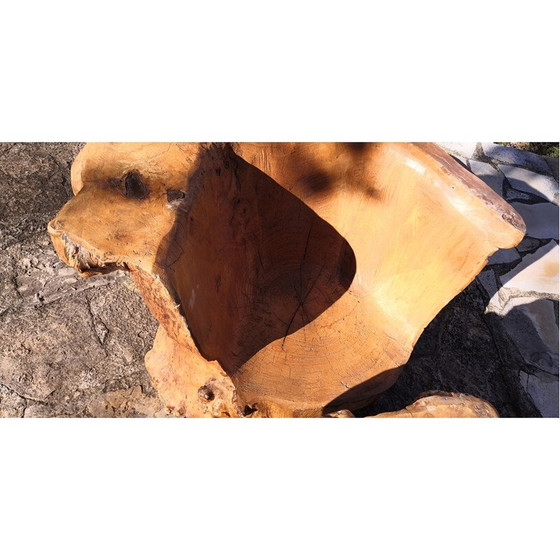 Image 1 of Set da soggiorno brutalista in legno di olmo, 1950