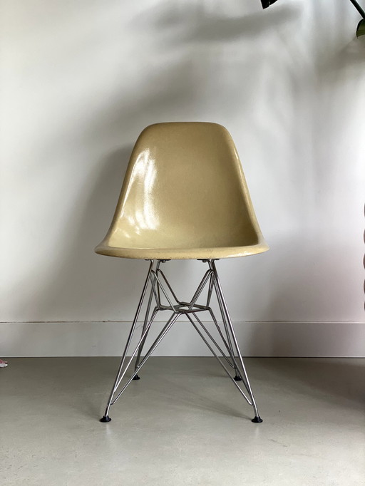 Eames Side Chair DSR