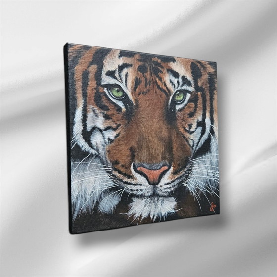 Image 1 of Acrylic Paint Painting Tiger 30X30 Cm