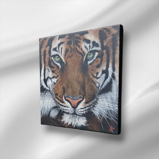 Image 1 of Acrylic Paint Painting Tiger 30X30 Cm