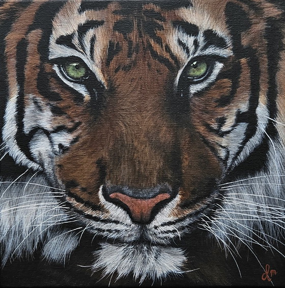 Image 1 of Acrylic Paint Painting Tiger 30X30 Cm