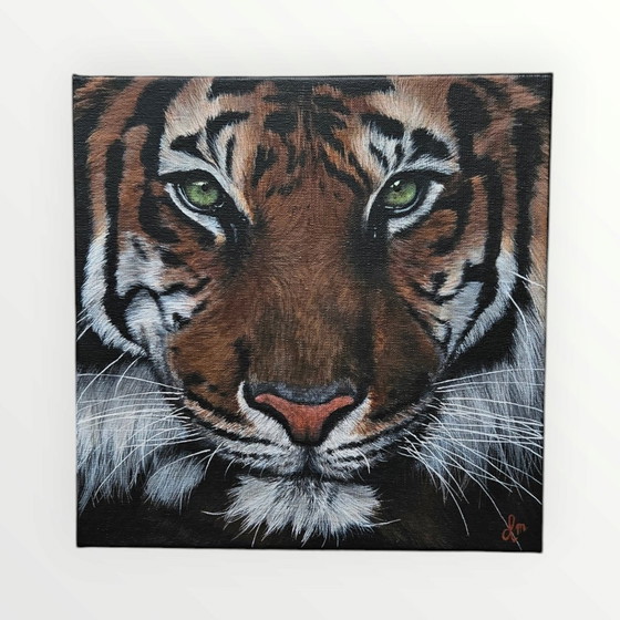 Image 1 of Acrylic Paint Painting Tiger 30X30 Cm