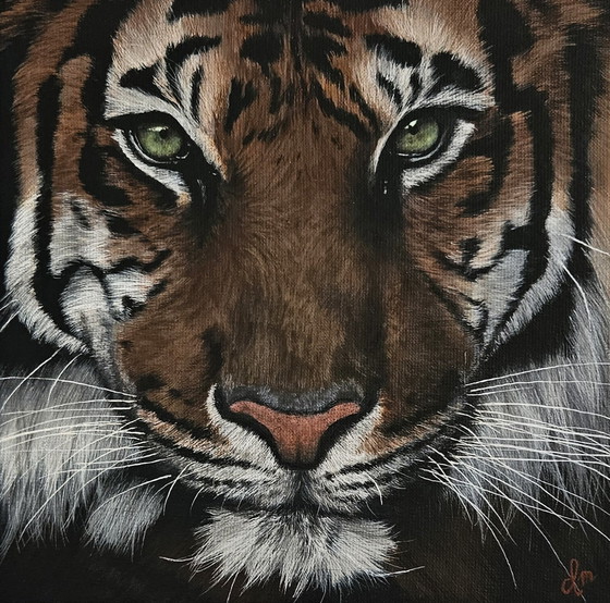 Image 1 of Acrylic Paint Painting Tiger 30X30 Cm