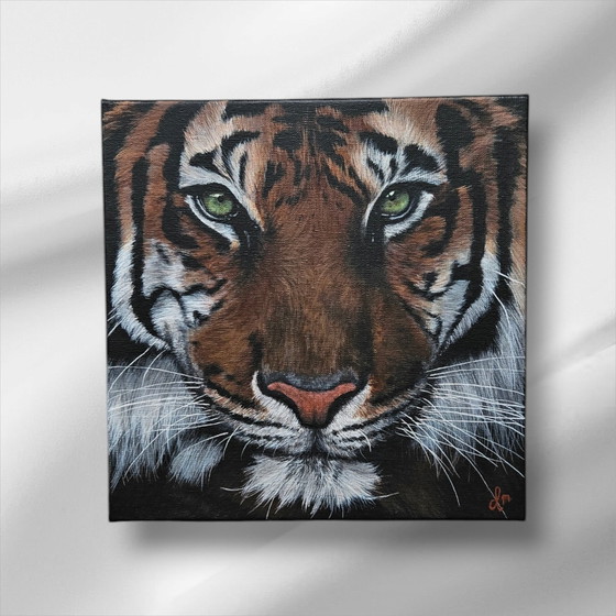 Image 1 of Acrylic Paint Painting Tiger 30X30 Cm