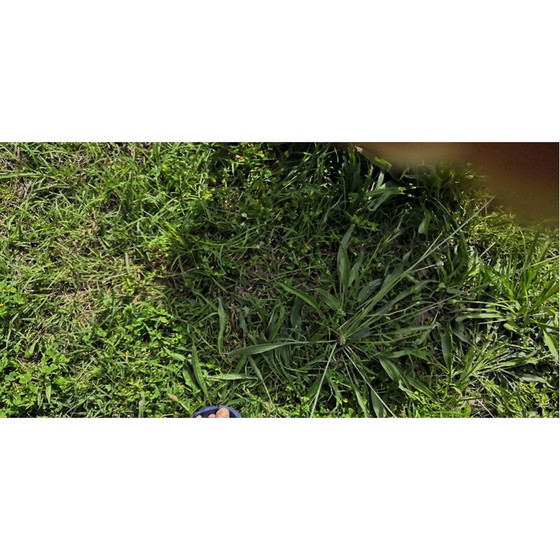 Image 1 of Vintage children's toy serving table, 1970s