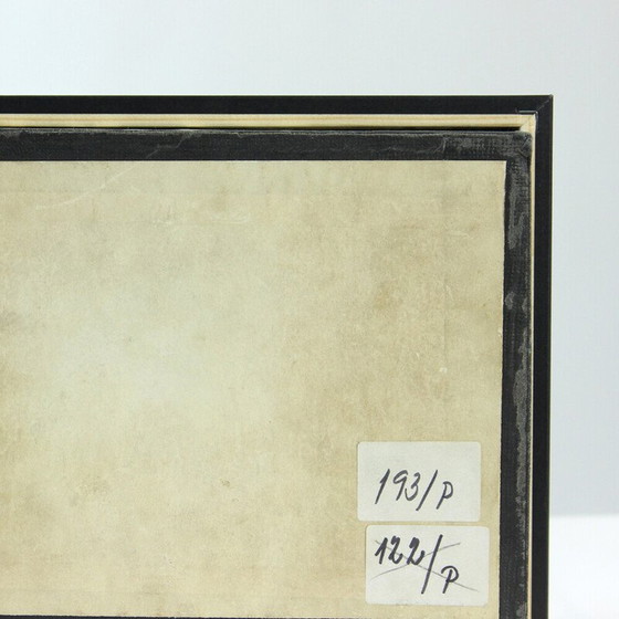 Image 1 of Dipinto d'epoca raffigurante un modello scolastico di Ernarmonia pomonella, Cecoslovacchia 1950