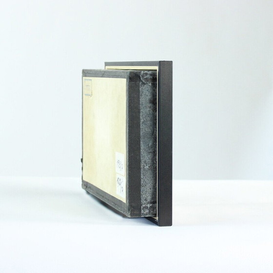 Image 1 of Dipinto d'epoca raffigurante un modello scolastico di Ernarmonia pomonella, Cecoslovacchia 1950