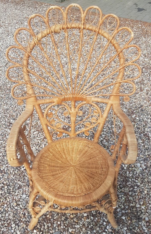 Peacock Chair 