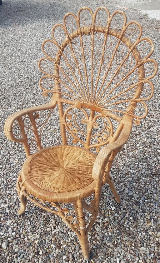 Peacock Chair 