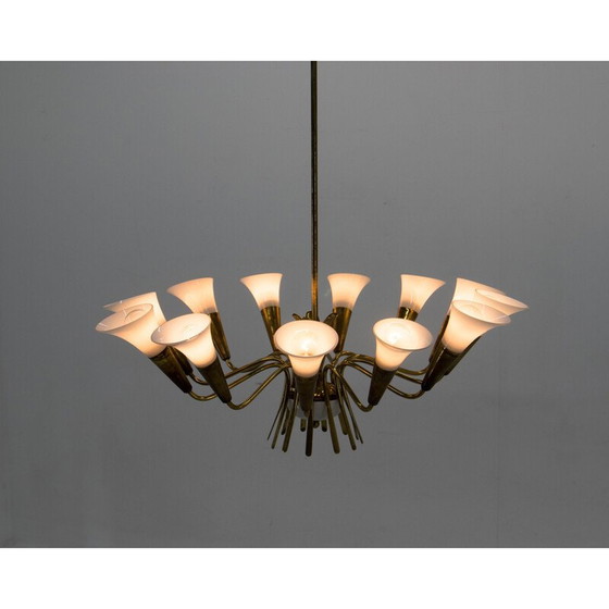 Image 1 of Vintage chandelier by Kamenicky Senov, 1958