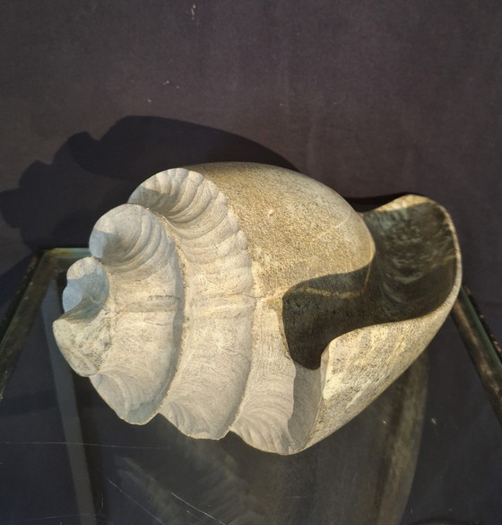 Image 1 of Shell, Marion de Goey