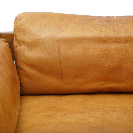 Image 1 of Vintage "Zelda" 2-seater sofa in plywood and leather by Sergio Asti for Poltronova, 1960