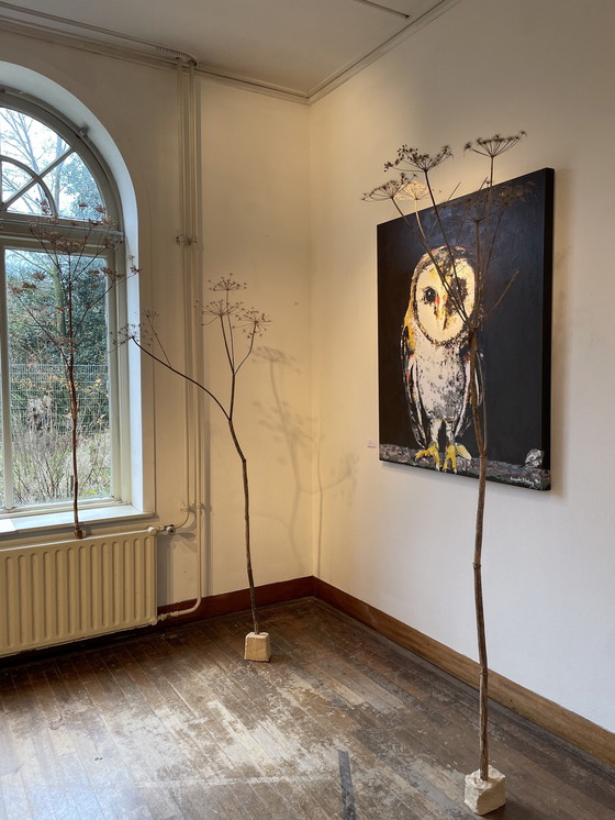 Image 1 of Retrato pintado de lechuza común