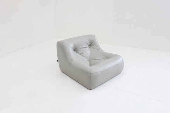 Image 1 of Kali Design Armchair Ligne Roset Michel Ducaroy Gray Leather