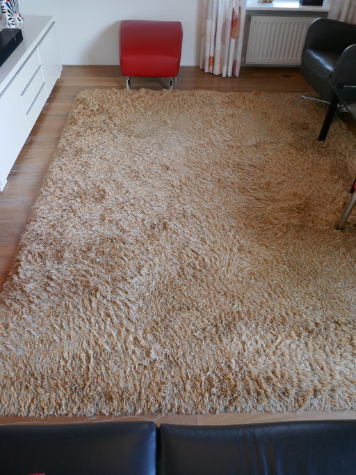 Carpet Danskina