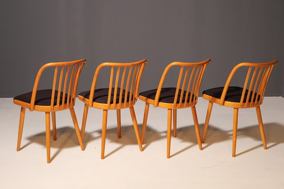 Image 1 of Conjunto de cuatro sillas de madera | Antonín Šuman, siglo XX