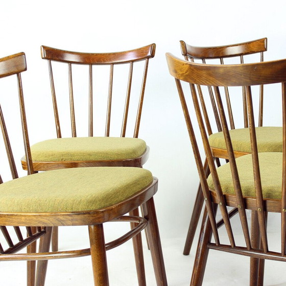 Image 1 of Set of 4 vintage dining chairs by Tatra, Czechoslovakia 1960s
