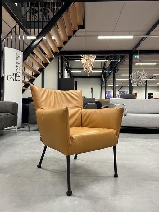 Label Van den Berg Fauteuil Togo