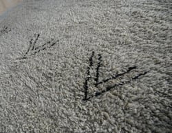 Image 1 of Alfombra bereber "Arzouh"