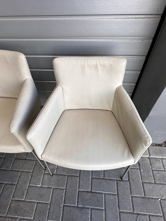 Image 1 of 4x Label Tiba designer chairs