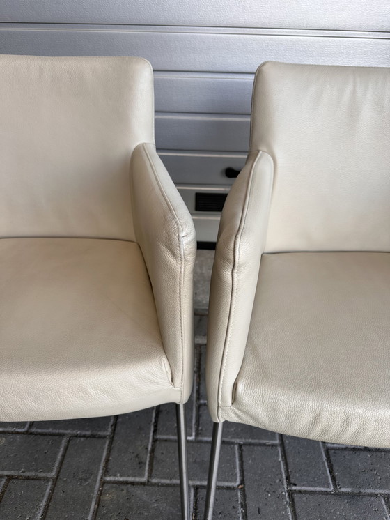 Image 1 of 4x Label Tiba designer chairs