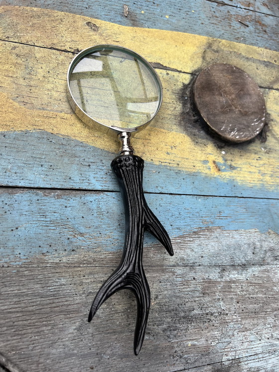 Image 1 of Magnifying Glass Antlers