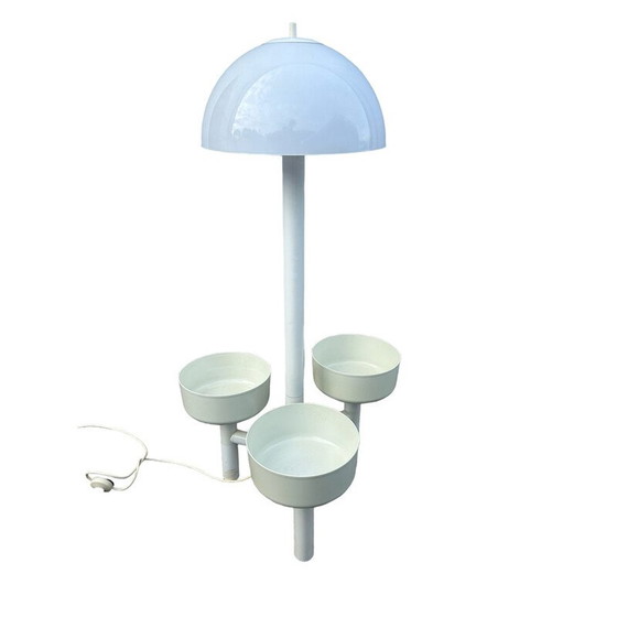 Image 1 of Vintage plant holder floor lamp "Chantal" for Ypma Bv Zwanenburg, 1970