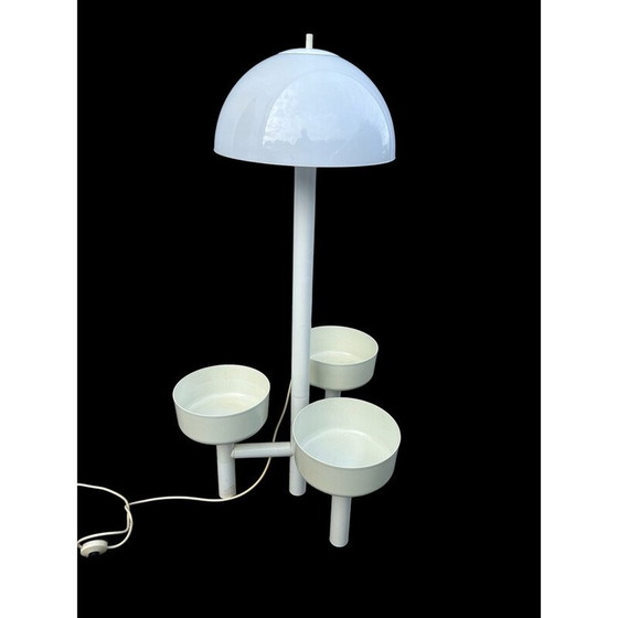 Image 1 of Vintage plant holder floor lamp "Chantal" for Ypma Bv Zwanenburg, 1970