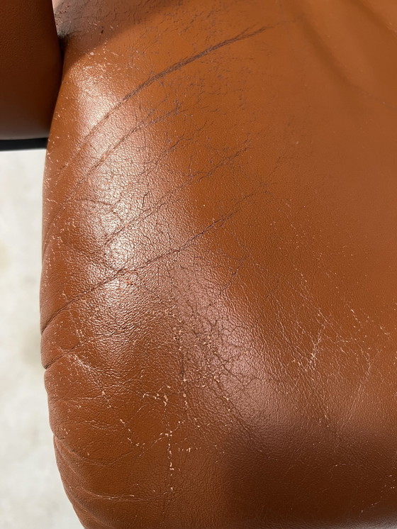 Image 1 of Vintage Artifort fault owl 