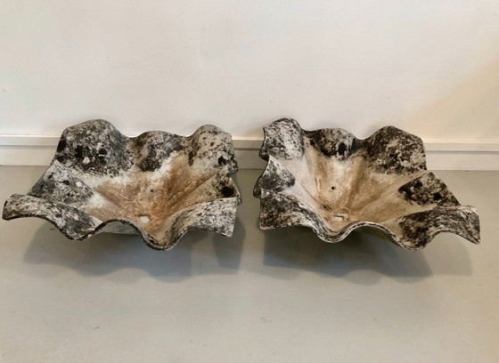 Image 1 of Pair De Jardinière " Oreille D Éléphant " De Willy Guhl, 1950S