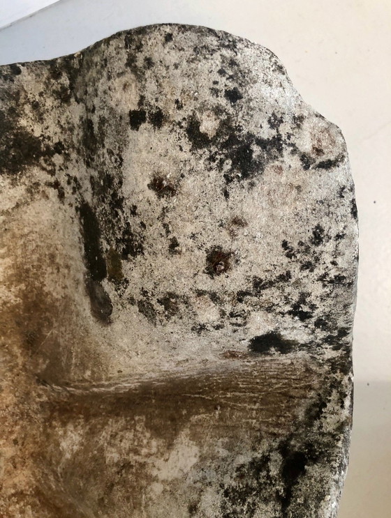 Image 1 of Pair De Jardinière " Oreille D Éléphant " De Willy Guhl, 1950S