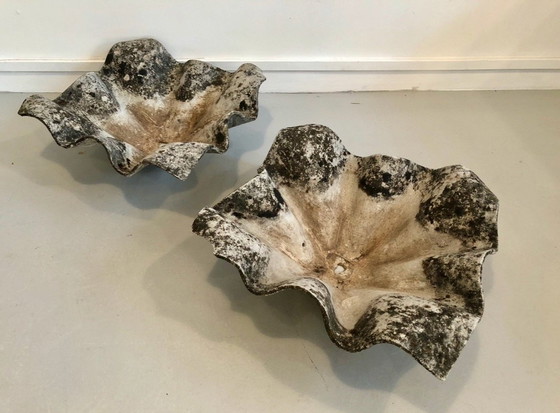 Image 1 of Pair De Jardinière " Oreille D Éléphant " De Willy Guhl, 1950S