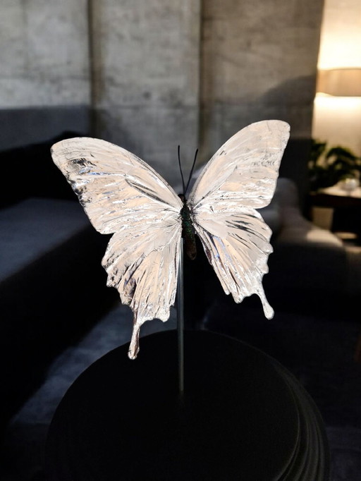 Genuine Butterfly silver plated and mounted under dome - limited edition