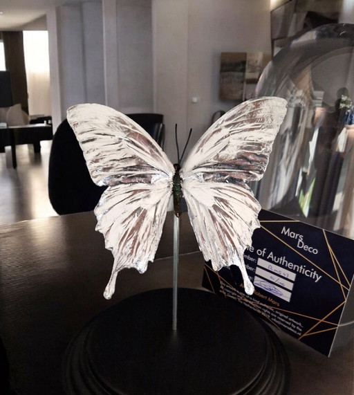 Genuine Butterfly silver plated and mounted under dome - limited edition