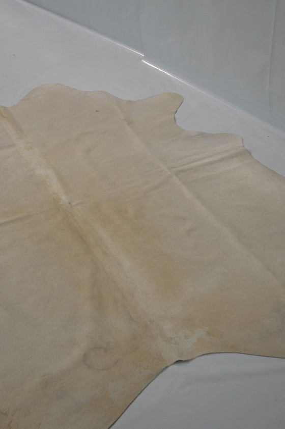 Image 1 of White Cow Sheet_ From Neighbors