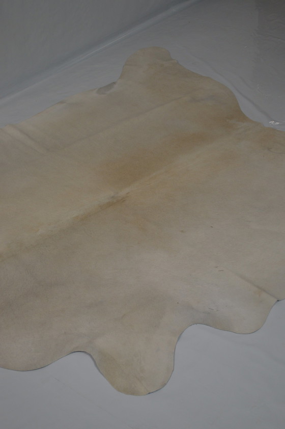 Image 1 of White Cow Sheet_ From Neighbors