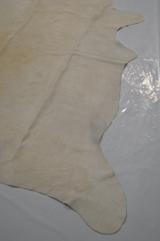 Image 1 of White Cow Sheet_ From Neighbors