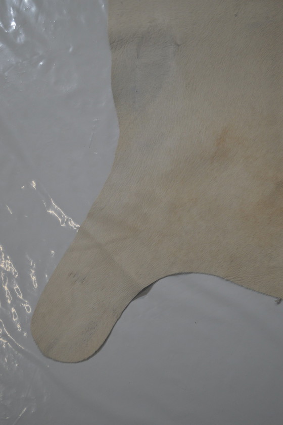 Image 1 of White Cow Sheet_ From Neighbors