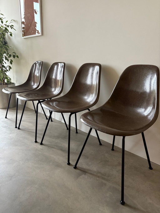 Vitra Eames Herman Miller 4 Fiberglass Bucket Chairs Dsx